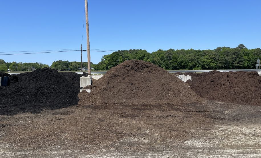 Mulch Easton Trappe Cambridge MD